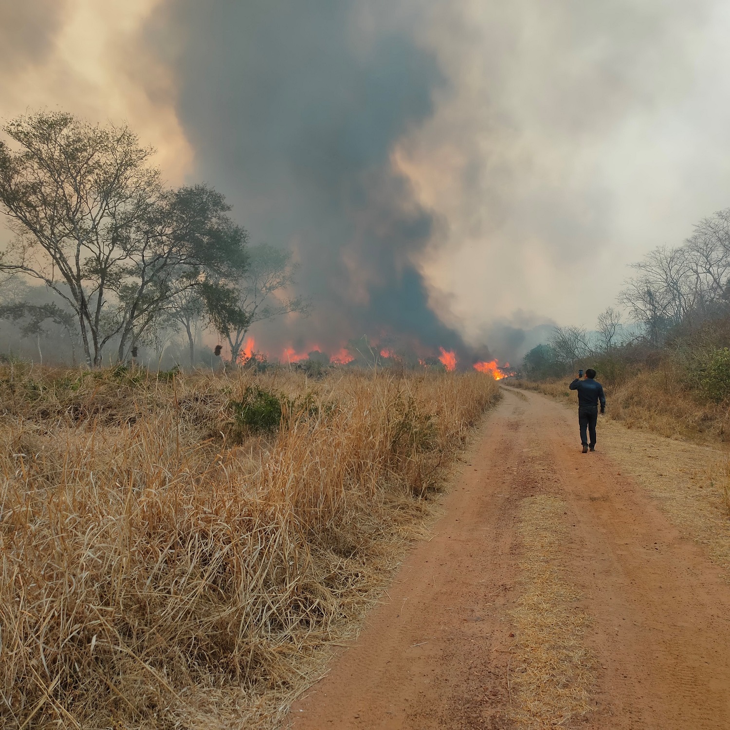 Incendio registrado en el Ñembi Guasu, en Charagua Iyambae, en agosto de 2021