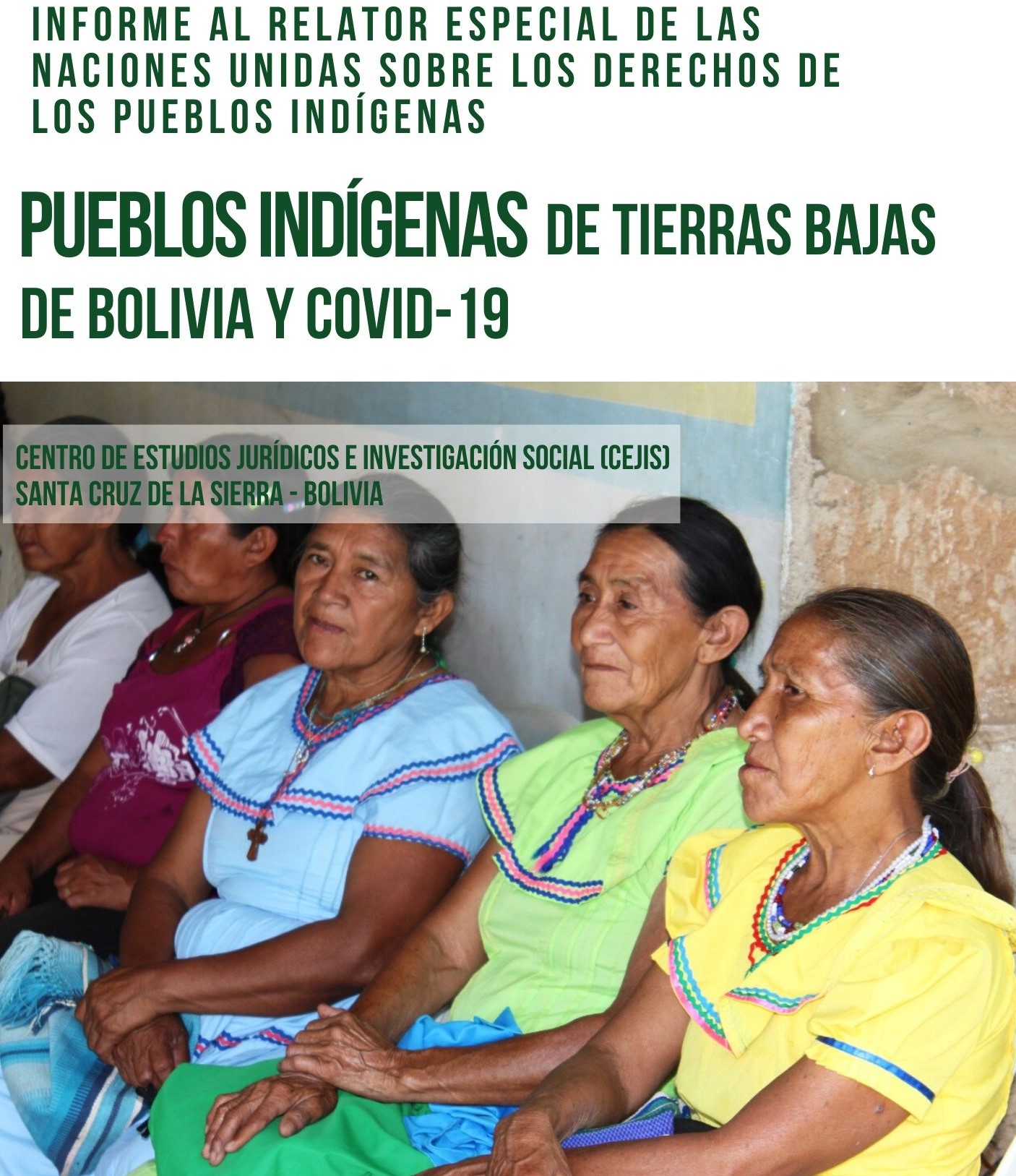 Informe a las Naciones Unidas: Pueblos indígenas de tierras bajas de Bolivia y COVID-19